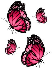 4x sticker adesivi adesivo pc