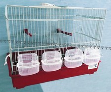 Gabbia Cova Allevatore (2