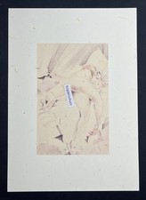 Illustrazione erotica di Rojan "Idillio printaniere" 1934 da fumetto oltre 12 stampe