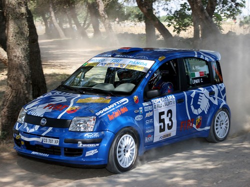 Fiat panda rally - rally , poster