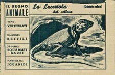 R@R@ FIGURINA DEL REGNO