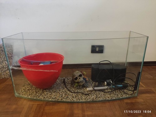 Acquario 100lt completo - 100lt,