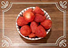 400g Fragole Liofilizzate |