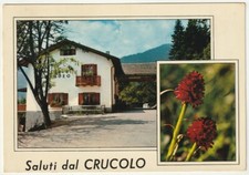 VAL CAMPELLE - LAGORAI - TRENTO - RIFUGIO CRUCOLO - VIAGG. 1977 -68238-