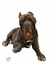 ❈ Dipinto ritratto olio