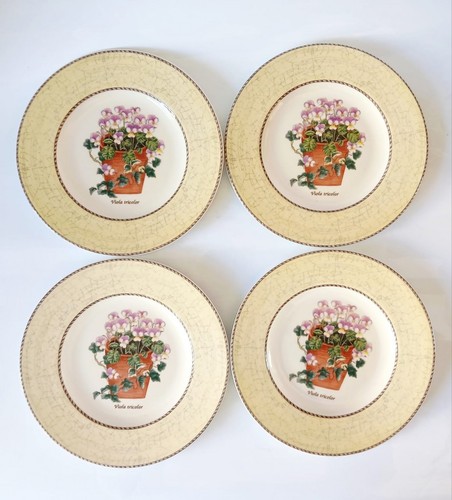 Wedgwood sarah garden piatti - wedgwood, sarah's