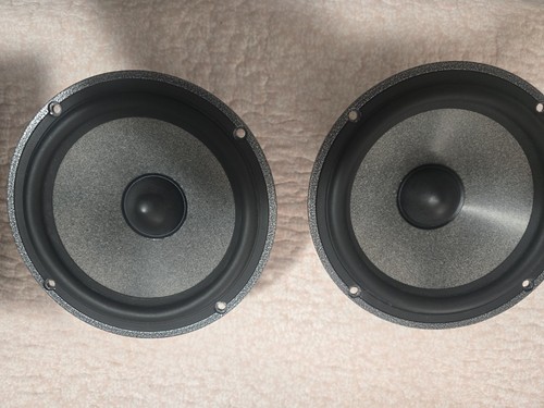 Coppia driver woofer focali