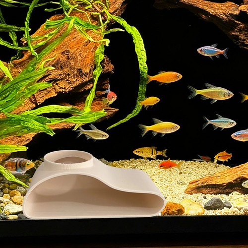 Aquarium röhre - aquarium,