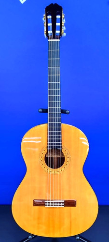 Yairi corde nylon chitarra - nylon,