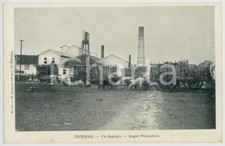 1900 ca TRINIDAD (Republica de CUBA) Ingenio - Sugar Plantation *Postcard