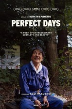 Poster film drammatico Perfect
