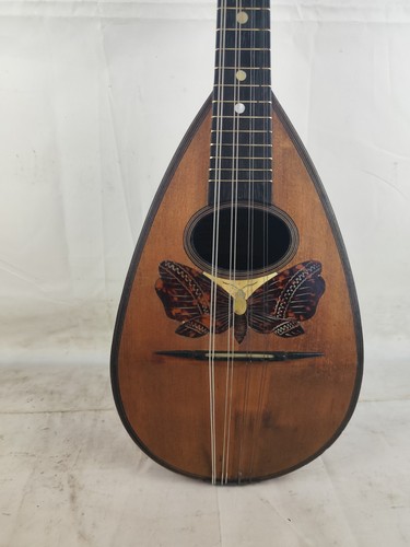 Mandolino pasquale angara - 4/4,