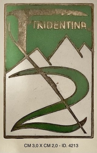 Alpini tridentina regio - tridentina,