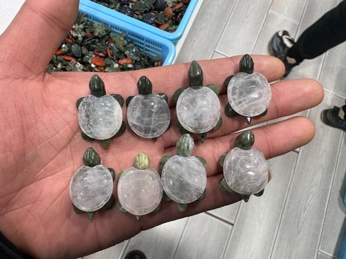 5pz cristallo trasparente - 5pz,