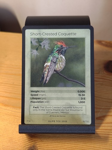 Life tcg birds - life, holo