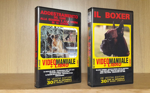 Addestramento del cane alla - addestramento,