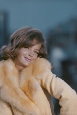 Romy Schneider Sexy 8x12