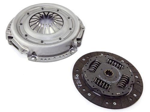 Spingidisco cherokee - cherokee, 02