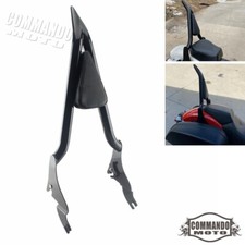 Sissy Bar schienale passeggero