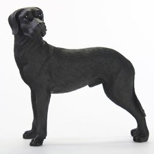 Statua collezione in - collezione,