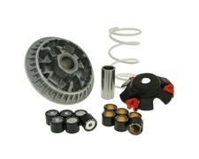 Variatore MALOSSI Multivar