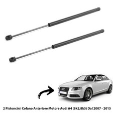 2 MOLLE A GAS PISTONI