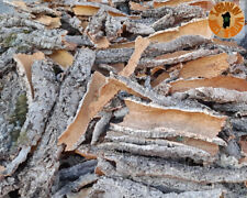 SUGHERO DI SARDEGNA CORTECCIA