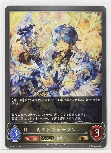 Shadowverse evolve card tcg - shadowverse,