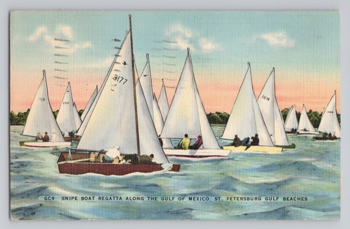 Snipe boat regata - boat,