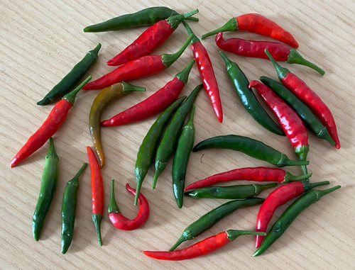 Peperoncini piccanti thai - peperoncini,