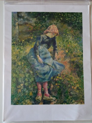 Stampe 40x30 camille - 40x30,