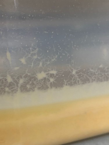 30g starter inoculo - -,