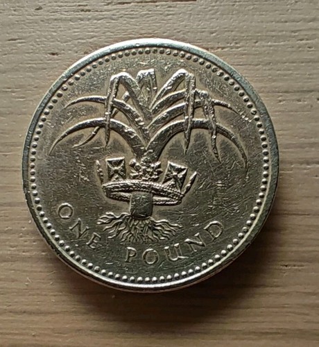 Rara moneta 1985 one pound - rara,