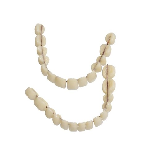 28pcs resina protesi denti - 28pcs,