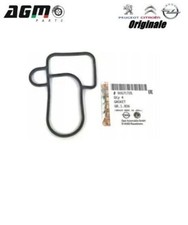 Guarnizione radiatore olio - radiatore,