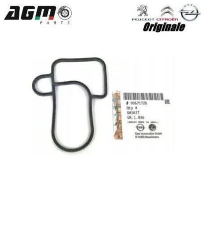 Guarnizione radiatore olio - guarnizione,