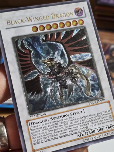 Tcg black winged - yu-gi-oh!,