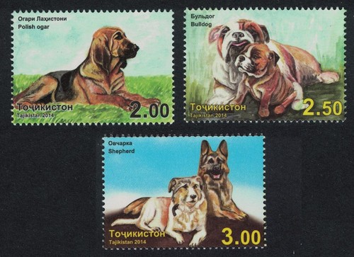 Bulldog pastore ogar cani - cani, 3v