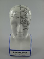 Frenologia Testa Frenologico Porcellana Blu Busto L.N.Fowler Neurologia