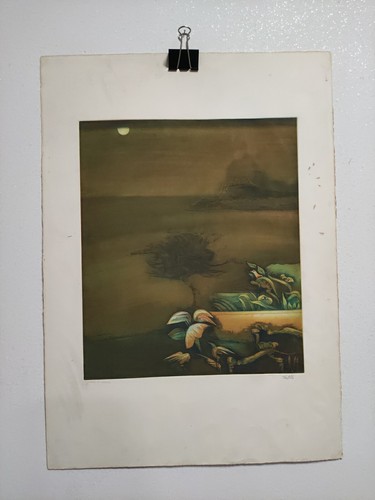 Incisione litografia - incisione,