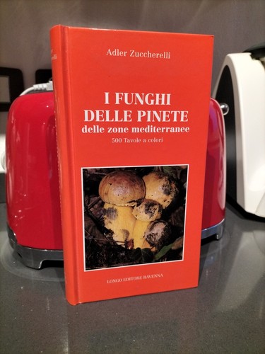 Funghi delle pinete - funghi,