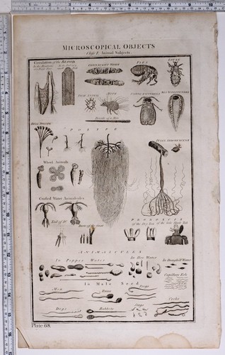 1788 stampa originale oggetti - stampa,