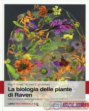 9788808175045 Susan E