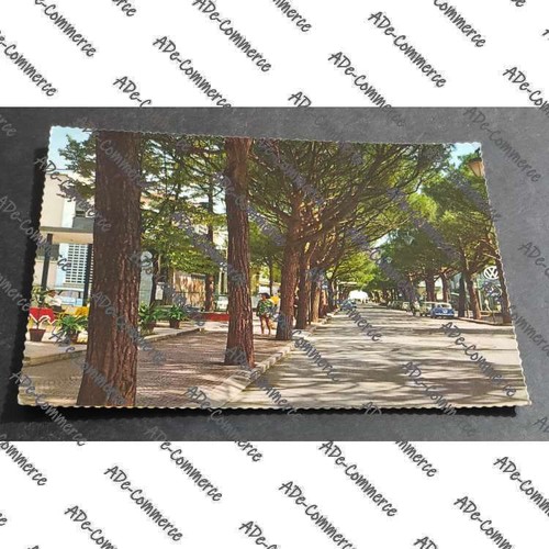 Cartolina riccione viale - riccione,