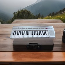 TASTIERA BONTEMPI MINSTREL. 