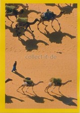 Panini National Geographic -