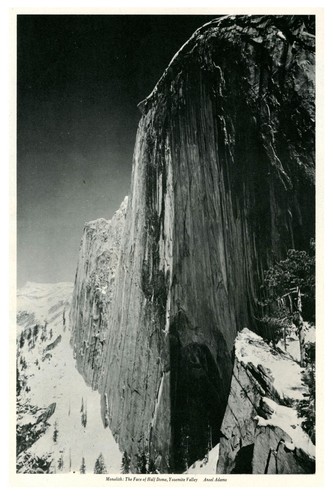 Splendido poster ansel - poster,