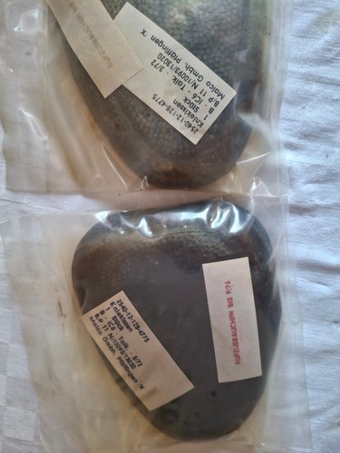 Maico 250b cuscino - maico, 250b,