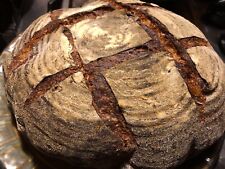 Lievito lievito madre bavarese "morte nera" storia 400 anni ACTIVE SOUR