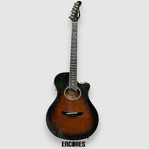 Chitarra elettrica acustica